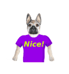 Tシャツ犬（個別スタンプ：9）