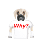 Tシャツ犬（個別スタンプ：10）