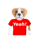 Tシャツ犬（個別スタンプ：11）