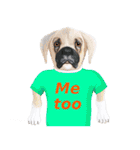 Tシャツ犬（個別スタンプ：23）