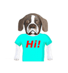 Tシャツ犬（個別スタンプ：24）