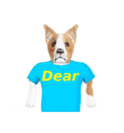 Tシャツ犬（個別スタンプ：25）