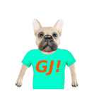 Tシャツ犬（個別スタンプ：35）