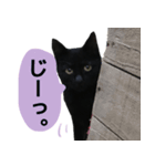 にゃごの日常。その1（個別スタンプ：2）