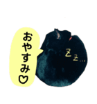 にゃごの日常。その1（個別スタンプ：4）