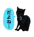 にゃごの日常。その1（個別スタンプ：5）