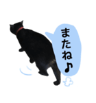 にゃごの日常。その1（個別スタンプ：7）