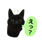 にゃごの日常。その1（個別スタンプ：8）
