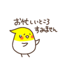 オカメインコのおかめちゃん（個別スタンプ：24）