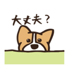 のんびりコーギー（個別スタンプ：3）