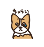 のんびりコーギー（個別スタンプ：4）