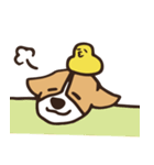 のんびりコーギー（個別スタンプ：5）