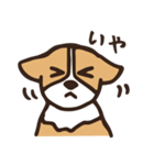 のんびりコーギー（個別スタンプ：6）