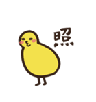 のんびりコーギー（個別スタンプ：8）