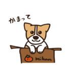 のんびりコーギー（個別スタンプ：9）