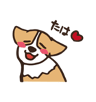 のんびりコーギー（個別スタンプ：12）