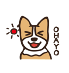 のんびりコーギー（個別スタンプ：17）