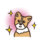 のんびりコーギー（個別スタンプ：24）