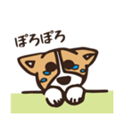 のんびりコーギー（個別スタンプ：28）