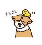 のんびりコーギー（個別スタンプ：29）