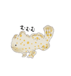 カエルアンコウちゃん（個別スタンプ：15）