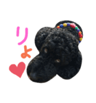 黒プーの豆太くん6（個別スタンプ：7）