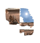 太陽が月が子猫たちに輝く（個別スタンプ：6）