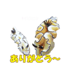 美しいウミウシ（日常会話）（個別スタンプ：21）