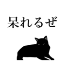 黒猫にゃあまのお説教（個別スタンプ：19）