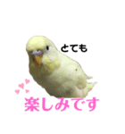 うちのスズ飼いませんか？4（個別スタンプ：6）