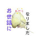 うちのスズ飼いませんか？4（個別スタンプ：7）