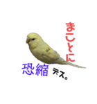 うちのスズ飼いませんか？4（個別スタンプ：8）