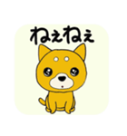 おねだり☆わんこ（個別スタンプ：8）