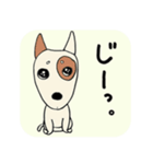 おねだり☆わんこ（個別スタンプ：12）