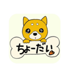 おねだり☆わんこ（個別スタンプ：14）