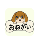 おねだり☆わんこ（個別スタンプ：17）