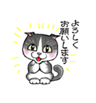 まんぷく猫（個別スタンプ：1）