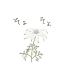 植物たち プラス文字（個別スタンプ：5）