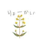 植物たち プラス文字（個別スタンプ：11）