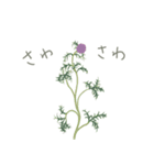 植物たち プラス文字（個別スタンプ：13）