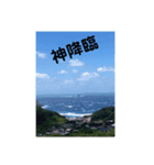 あんまり使わないスタンプw（個別スタンプ：6）