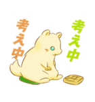 犬001（個別スタンプ：6）