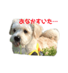 ふくくんスタンプ（個別スタンプ：1）