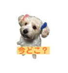 ふくくんスタンプ（個別スタンプ：2）