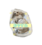 ふくくんスタンプ（個別スタンプ：5）