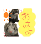 うにとろまろさんま（個別スタンプ：6）