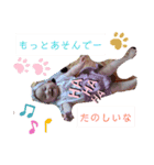 わたしのベビーちゃん（個別スタンプ：3）