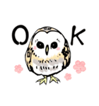 幸せのフクロウカフェchouette 大阪 心斎橋（個別スタンプ：1）