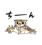 幸せのフクロウカフェchouette 大阪 心斎橋（個別スタンプ：2）