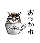 幸せのフクロウカフェchouette 大阪 心斎橋（個別スタンプ：3）